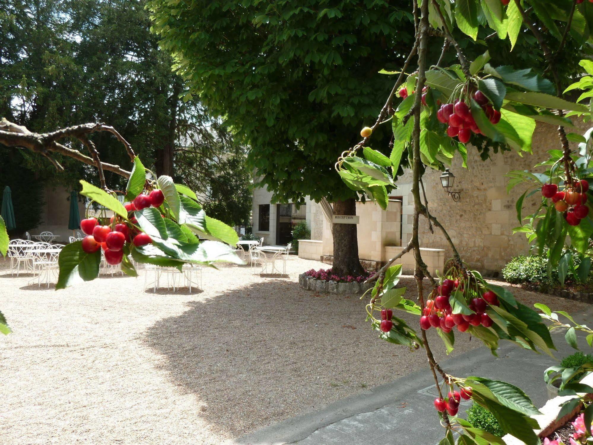 Hotel Grand Monarque Azay-le-Rideau Exterior photo